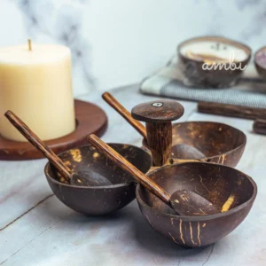 Hand-Polished Coconut Shell Serving Bowls